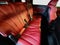 2026 Acura MDX Type S w/Advance Package SH-AWD
