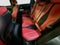 2024 Acura RDX A-Spec Advance Package SH-AWD